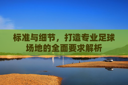 标准与细节,打造专业足球场地的全面要求解析