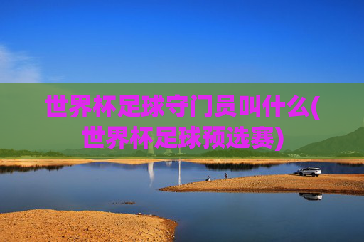 世界杯足球守门员叫什么(世界杯足球预选赛)