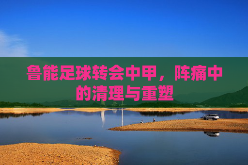 鲁能足球转会中甲,阵痛中的清理与重塑