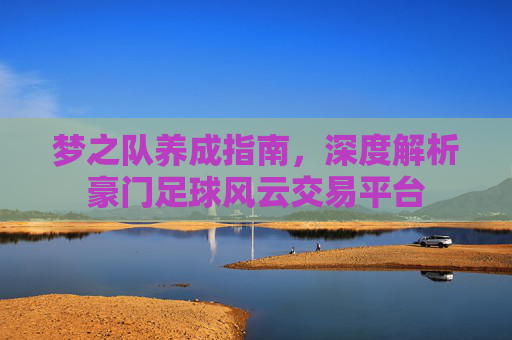 梦之队养成指南,深度解析豪门足球风云交易平台