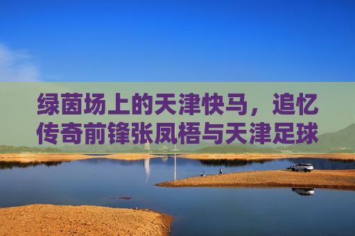 绿茵场上的天津快马,追忆传奇前锋张凤梧与天津足球的黄金岁月