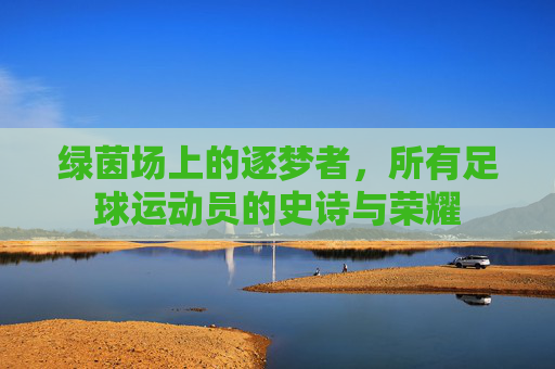 绿茵场上的逐梦者,所有足球运动员的史诗与荣耀