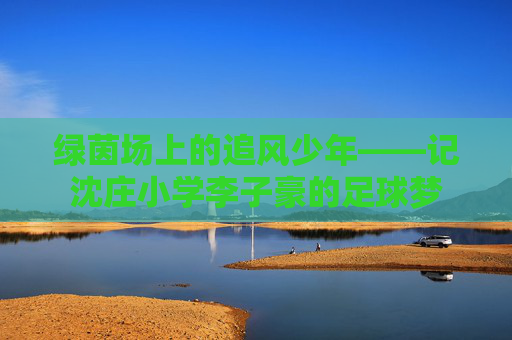 绿茵场上的追风少年——记沈庄小学李子豪的足球梦