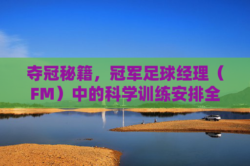 夺冠秘籍,冠军足球经理(FM)中的科学训练安排全解析