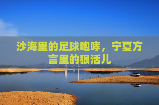 沙海里的足球咆哮,宁夏方言里的狠活儿