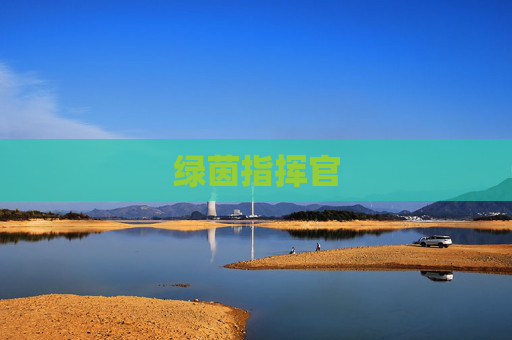 绿茵指挥官