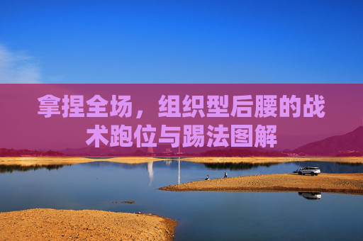 拿捏全场,组织型后腰的战术跑位与踢法图解
