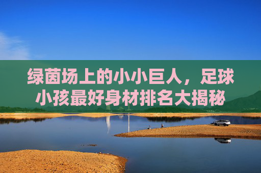 绿茵场上的小小巨人,足球小孩最好身材排名大揭秘