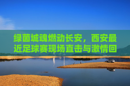 绿茵城魂燃动长安,西安最近足球赛现场直击与激情回响