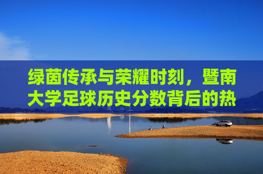 绿茵传承与荣耀时刻,暨南大学足球历史分数背后的热血篇章