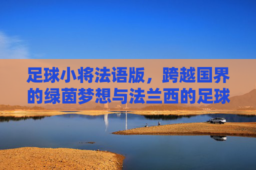 足球小将法语版,跨越国界的绿茵梦想与法兰西的足球情结