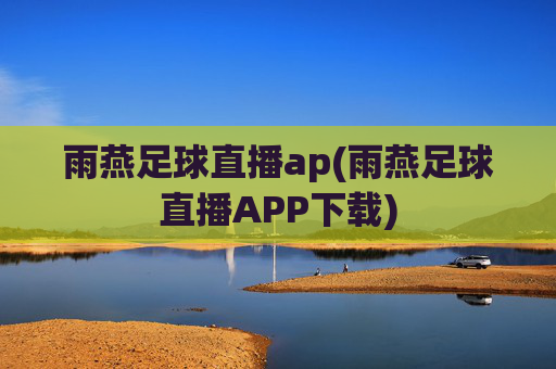 雨燕足球直播ap(雨燕足球直播APP下载)