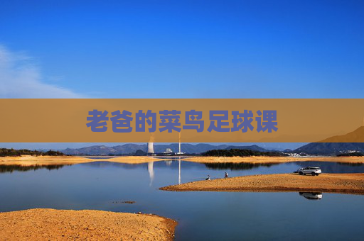 老爸的菜鸟足球课