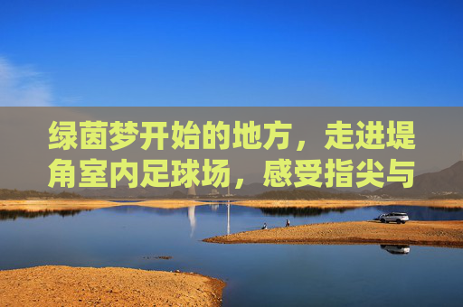 绿茵梦开始的地方,走进堤角室内足球场,感受指尖与脚尖的激情碰撞