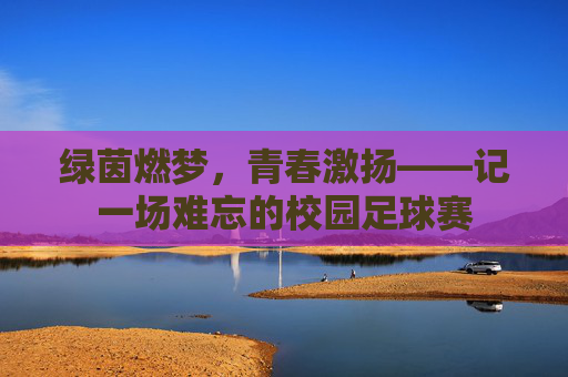 绿茵燃梦,青春激扬——记一场难忘的校园足球赛