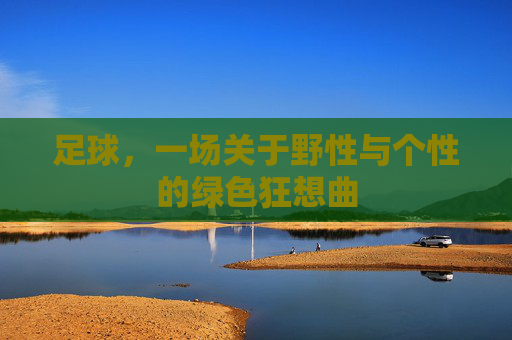 足球，一场关于野性与个性的绿色狂想曲