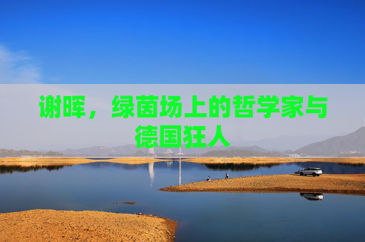 谢晖,绿茵场上的哲学家与德国狂人