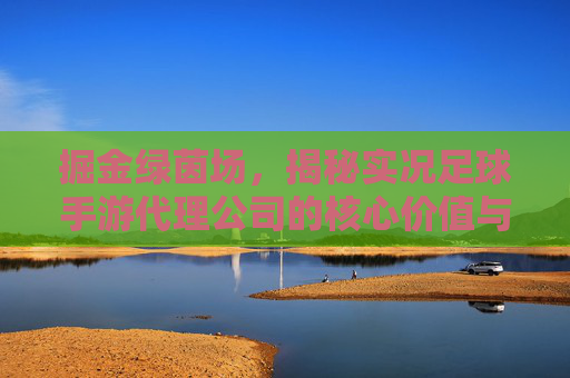 掘金绿茵场,揭秘实况足球手游代理公司的核心价值与选择之道