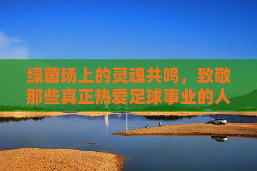 绿茵场上的灵魂共鸣,致敬那些真正热爱足球事业的人