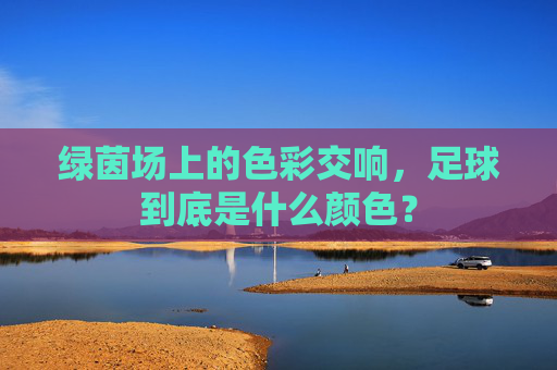 绿茵场上的色彩交响,足球到底是什么颜色?