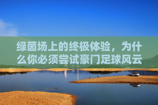 绿茵场上的终极体验,为什么你必须尝试豪门足球风云电脑版