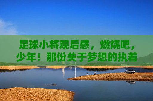 足球小将观后感,燃烧吧,少年!那份关于梦想的执着