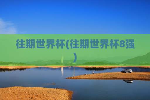 往期世界杯(往期世界杯8强)
