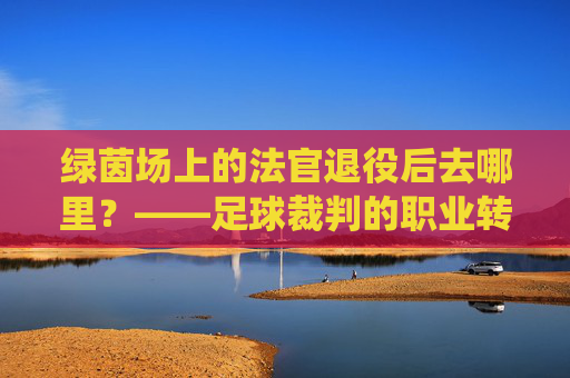 绿茵场上的法官退役后去哪里?——足球裁判的职业转型之路
