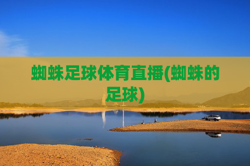 蜘蛛足球体育直播(蜘蛛的足球)