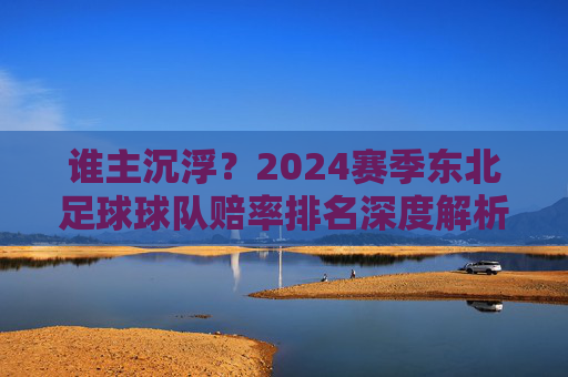 谁主沉浮?2024赛季东北足球球队赔率排名深度解析