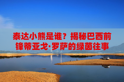 泰达小熊是谁?揭秘巴西前锋蒂亚戈·罗萨的绿茵往事