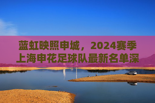 蓝虹映照申城,2024赛季上海申花足球队最新名单深度解析
