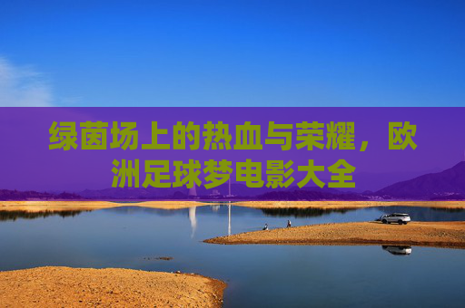 绿茵场上的热血与荣耀,欧洲足球梦电影大全