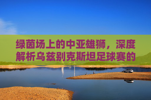 绿茵场上的中亚雄狮,深度解析乌兹别克斯坦足球赛的热血与激情