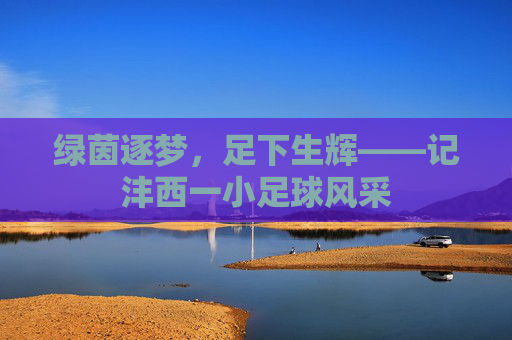 绿茵逐梦,足下生辉——记沣西一小足球风采