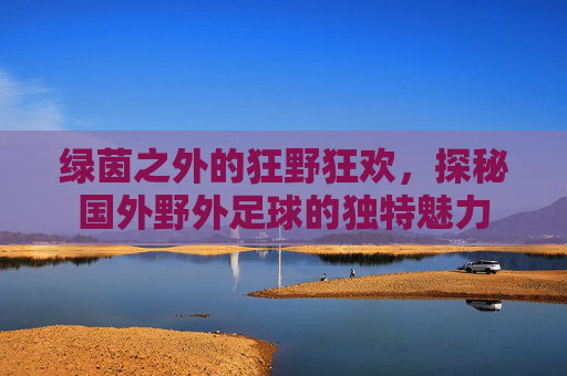 绿茵之外的狂野狂欢,探秘国外野外足球的独特魅力