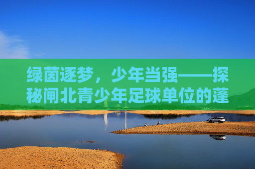 绿茵逐梦,少年当强——探秘闸北青少年足球单位的蓬勃发展