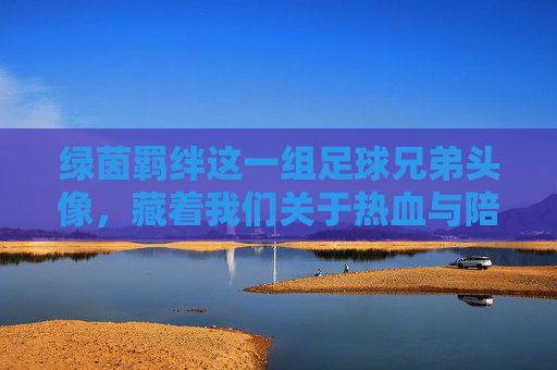 绿茵羁绊这一组足球兄弟头像,藏着我们关于热血与陪伴的所有记忆