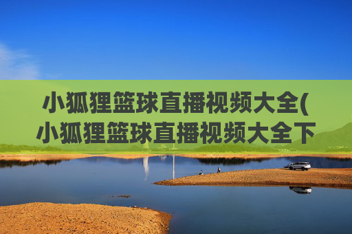 小狐狸篮球直播视频大全(小狐狸篮球直播视频大全下载)