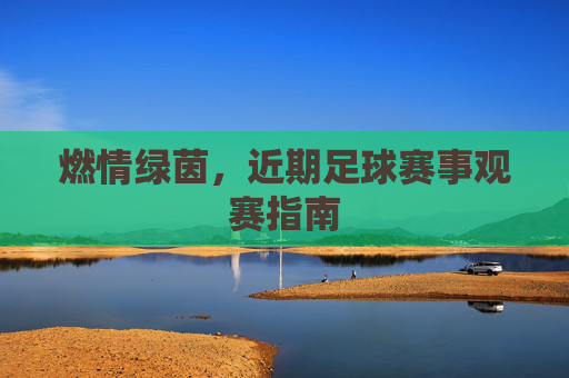 燃情绿茵,近期足球赛事观赛指南