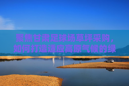 聚焦甘肃足球场草坪采购,如何打造适应高原气候的绿色赛场