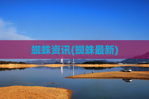 蜘蛛资讯(蜘蛛最新)