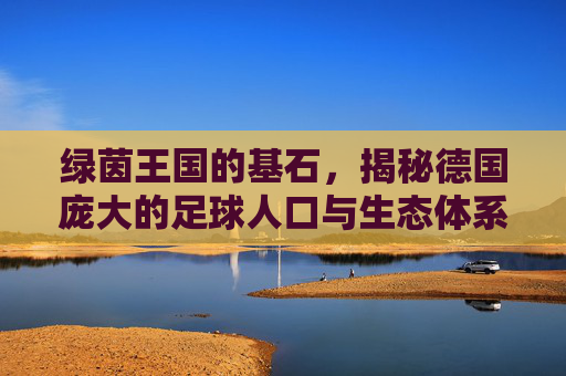 绿茵王国的基石，揭秘德国庞大的足球人口与生态体系