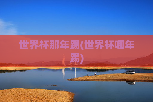 世界杯那年踢(世界杯哪年踢)