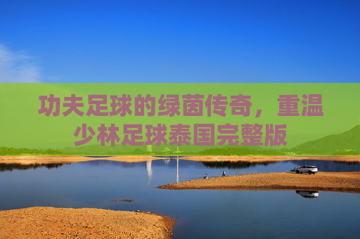 功夫足球的绿茵传奇，重温少林足球泰国完整版