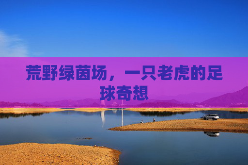 荒野绿茵场，一只老虎的足球奇想