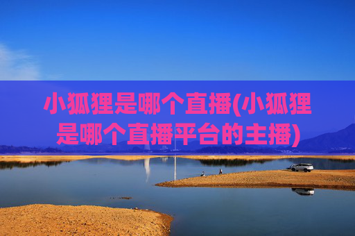 小狐狸是哪个直播(小狐狸是哪个直播平台的主播)