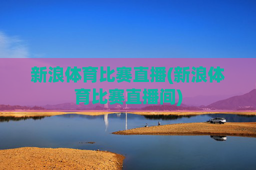 新浪体育比赛直播(新浪体育比赛直播间)
