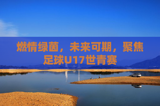燃情绿茵,未来可期,聚焦足球U17世青赛