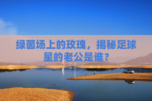 绿茵场上的玫瑰,揭秘足球星的老公是谁?